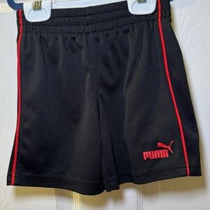 Puma Toddler Boy Shorts 2T